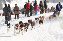 Lenk 2012 SM